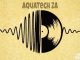 AQUATECH & PHATS DE JUVENILE – SEIZURE