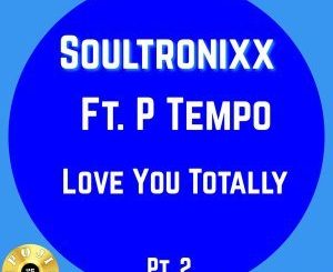 SOULTRONIXX – LOVING YOU TOTALLY (URBAN MUSIQUE REMIX)