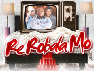 DJ VdoubleU & DeLASoundz Re Robala Mo Ft. DJ Cleo, Bizizi & L-Mass