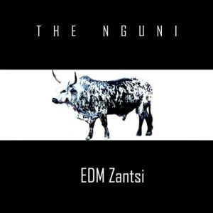 EDM Zantsi - The Nguni