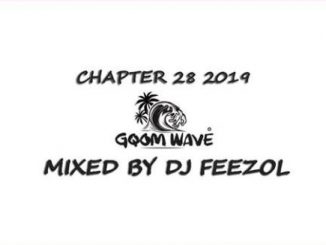 DJ FeezoL – Chapter 28 2019 (Gqom Wave)