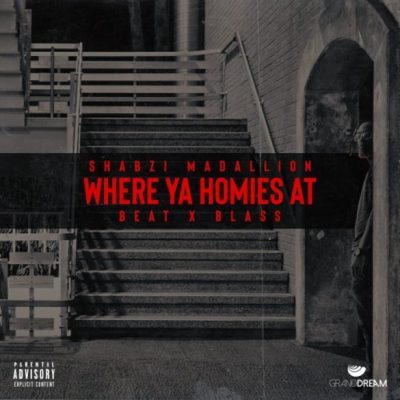 ShabZi Madallion - Where Ya Homies At