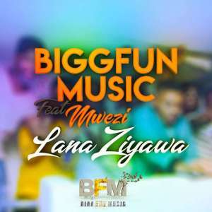 BiggFunMusic - LanaZiyawa (Original Mix)