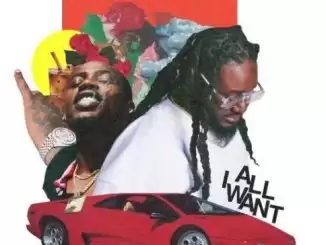 T-Pain – All I Want Ft. Flipp Dinero