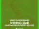 Dance Nation Sounds, Zethe - Shining Star (Original Mix)