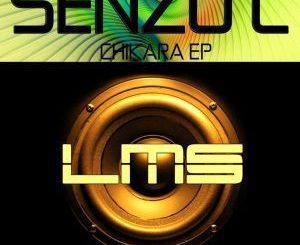 Senzo C – Switch 2.0 (2019 Retouch)