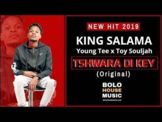 King Salama, Young Tee & Toy Souljah – Tshwara Di Key