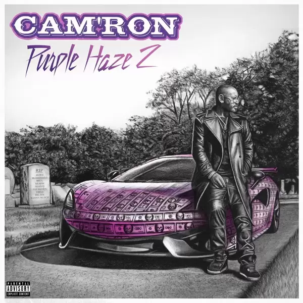 ALBUM: Cam'ron - Purple Haze 2