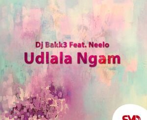 Dj Bakk3 – Udlala Ngam Ft. Neelo