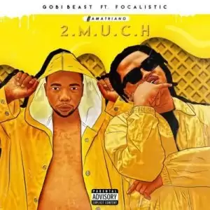 Gobi Beast – 2 Much ft Focalistic