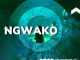 EP: NGWAKO – The Deeper We Get