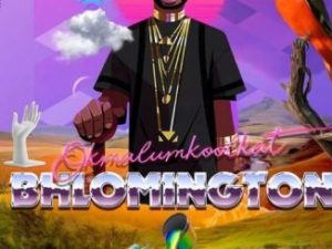 Okmalumkoolkat – Drip