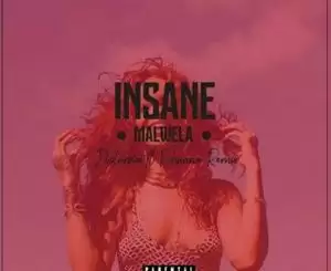 Rihanna – Disturbia (Insane Malwela’s Afro House Remix)