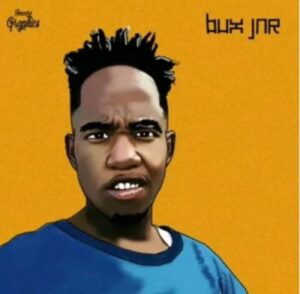 Bux Jnr Mr Gqomthang - 4360