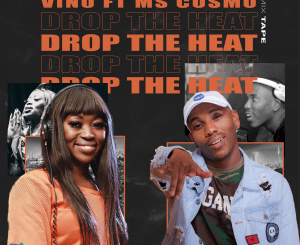 DJ Vino – Drop The Heat Ft. Ms Cosmo