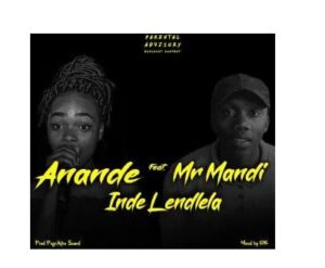 Anande - Inde Lendlela Ft. Mr Mandi