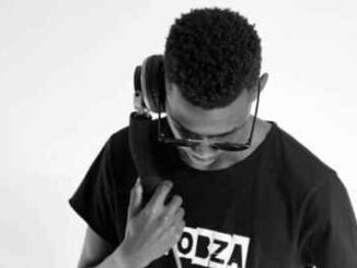 Dj Obza – Appreciation Amapiano Mix (Road To Masego album)