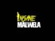 Insane Malwela - Demented Us Ft. Cheestos