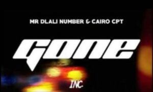 Mr Dlali Number - Gone Ft. Cairo CPT