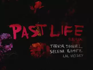 Trevor Daniel, Selena Gomez & Lil Mosey - Past Life (Remix)