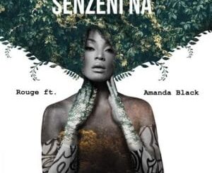 Rouge – Senzeni Na Ft. Amanda Black