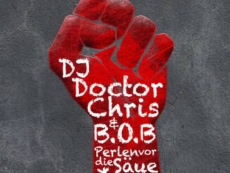 ALBUM: DJ Doctor Chris & B.o.B - Perlen vor die Säue