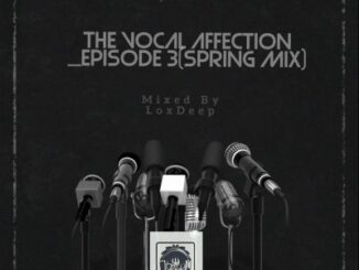 LoxDeep (I.D.K) – The Vocal Affection Set Episode 03 (Spring Mix)