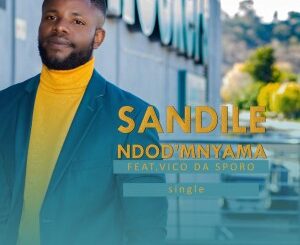 SANDILE – NDOD’MNYAMA FT. VICO DA SPORO