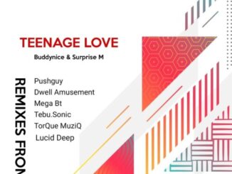 Buddynice – TorQue MuziQ Ft. Surprise M [Afro Tech Mix)