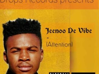 Jeenoo De Vibe – Attention