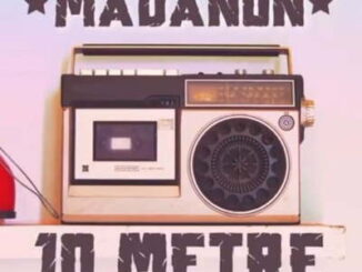 Madanon – 10 Metre Ft. Mampintsha, Tipcee & Diskwa