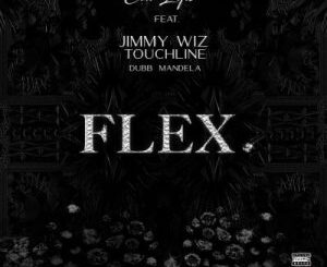 Citi Lyts – Flex ft Touchline, Jimmy Wiz & Dubb Mandela