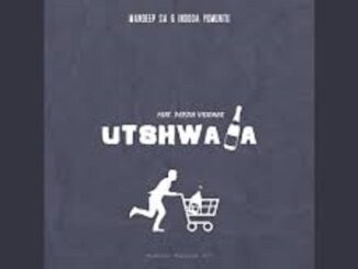 Mandeep SA – Utshwala Ft. Pepzin Visionar & Indoda Yomuntu