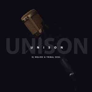 DJ Malibu – Unison Ft. Tribal Soul