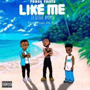 Priddy Prince – Like Me ft Ex Global & Krish