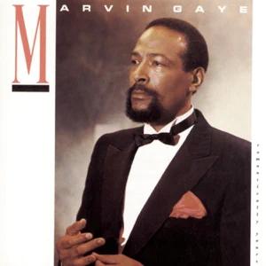 ALBUM: Marvin Gaye – Romantically Yours