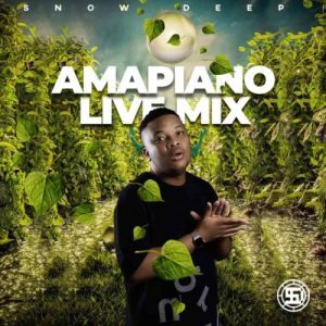 Snow Deep – Amapiano Live Mix