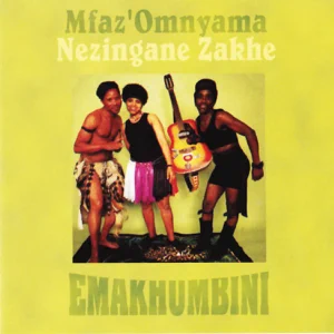 mfaz-omnyama-emakhumbini