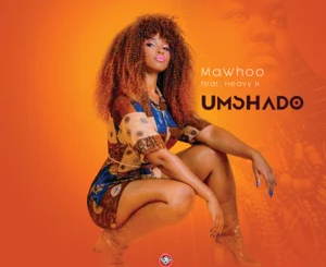 umshado-feat-heavy-k-single