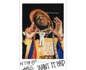 kid-cudi-and-nigo-want-it-bad