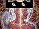 tool-lateralus