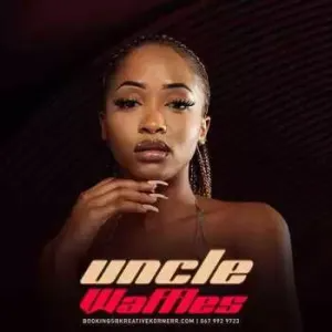 uncle-waffles-–-tanzania-promo-mix