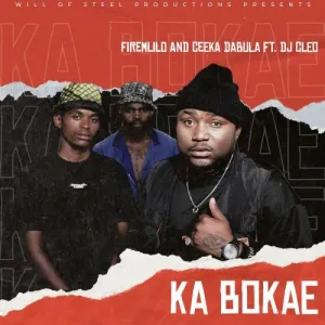 DOWNLOAD-FireMlilo-Ceeka-Dabula-–-Ka-Bokae-ft-DJ.webp