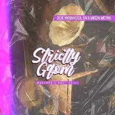 DOWNLOAD-UJeje-UBizza-Wethu-–-Strictly-Gqom-Mixtape-Vol.webp