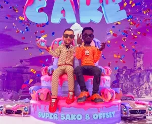 Cake-Single-Super-Sako-and-Offset