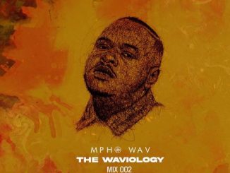 1655203842 DOWNLOAD-MphoWav-–-The-Waviology-Mix-002-–