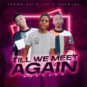 asamb-solo-ice-–-till-we-meet-again-package