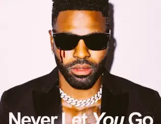 Never-Let-You-Go-Single-Jason-Derulo-and-Shouse