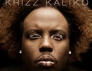 Vitiligo-Krizz-Kaliko