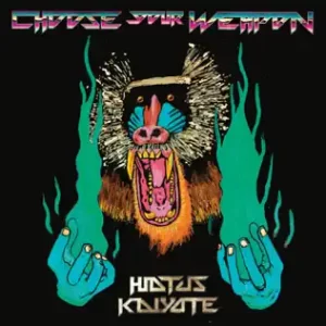 Choose Your Weapon
Hiatus Kaiyote